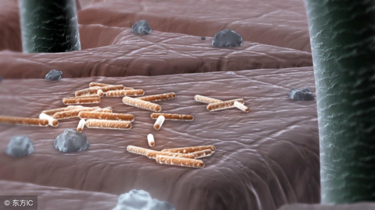 女性腋毛多要怎么调理,女人腋毛旺盛的原因是什么