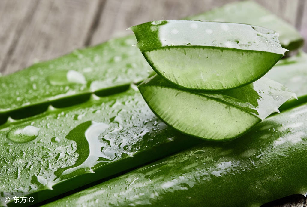 蚊虫叮咬用什么中草药洗效果好,外用最能治疗蚊虫叮咬的中草药