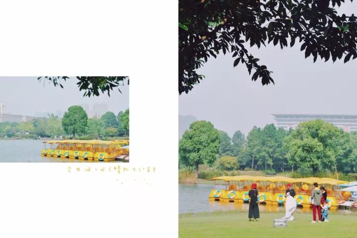 墨染芳华歌曲视频,1982墨染芳华