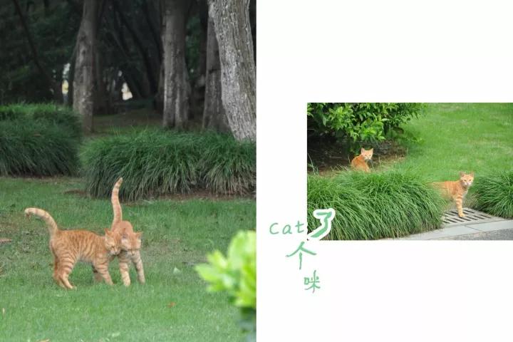 墨染芳华歌曲视频,1982墨染芳华