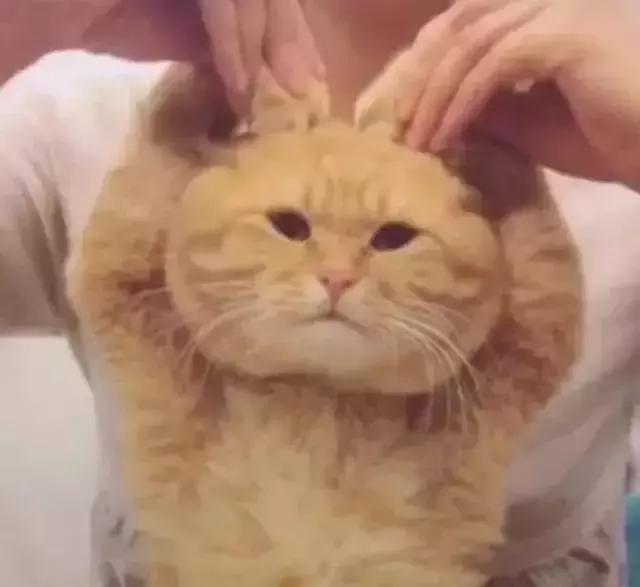 7月去香港有新规！深圳人小心被罚42.2万和坐牢，只因带了这个……