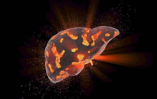 2种植物磨碎泡水喝，不到10天，转氨酶降光光，扼制肝炎转肝癌