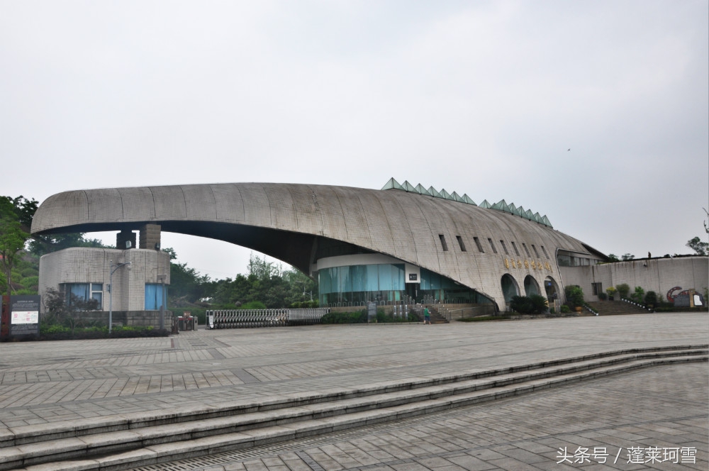 自贡恐龙博物馆展示是真恐龙吗,自贡恐龙博物馆可以现场购票吗