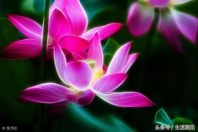 人到中年才明白什么人值得交往,适合中年人的相处境界