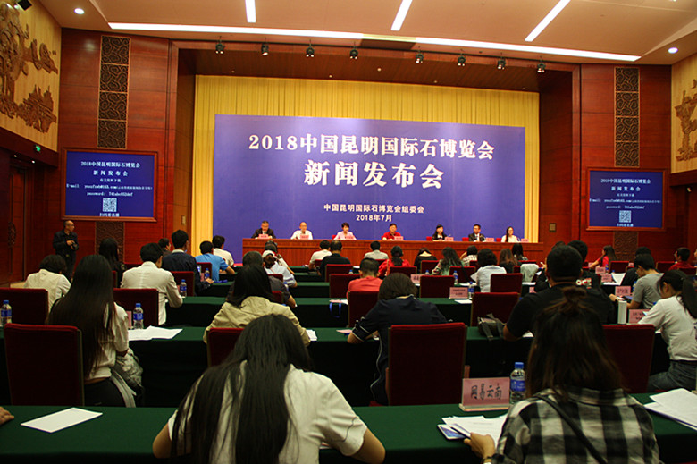 昆明石博会观赏石,昆明奇石博览会什么时候开始