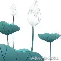 荷花节广安,岳池白庙荷花基地