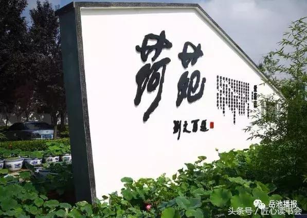 岳池北庙荷花节视频,四川广安荷花节