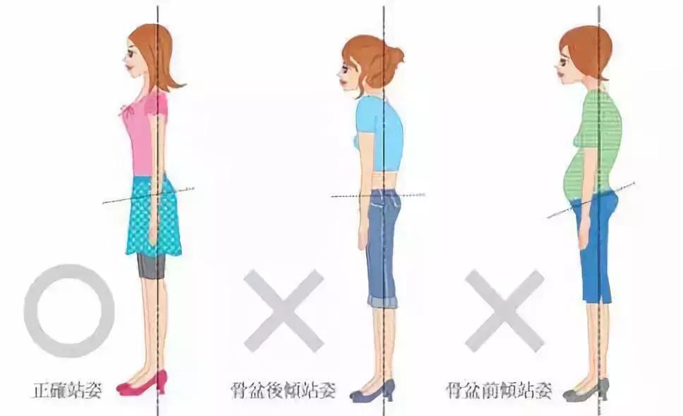 女人怎样锻炼能让背变薄,背痛可以做什么操