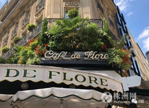 我在巴黎莎士比亚书店里，竟然找到了看手相的书