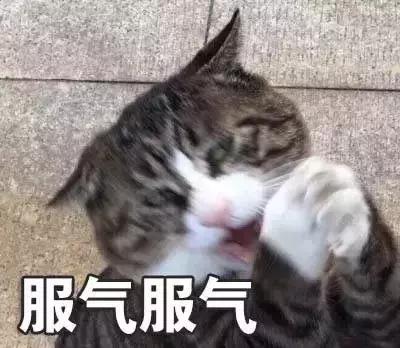 nike一切皆有可能广告,nike经典宣传