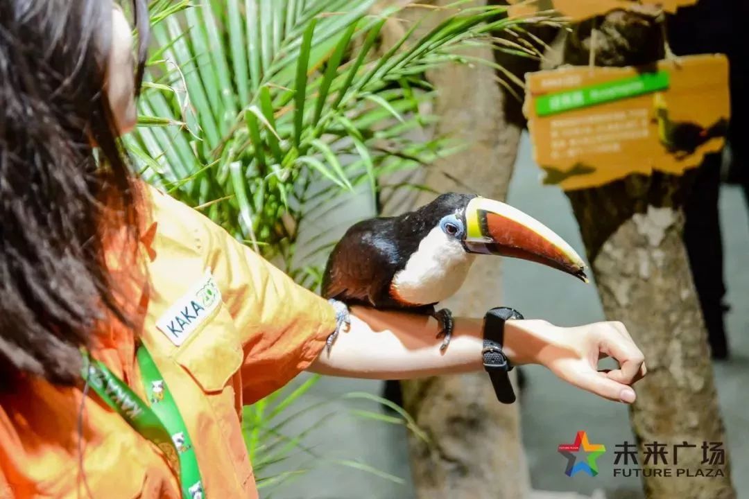 澶嶅崕鏈潵骞垮満,闈掑矝澶嶅崕鏈潵骞垮満