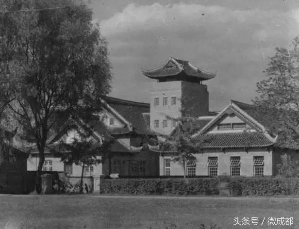 成都冷知识100,成都冷知识视频