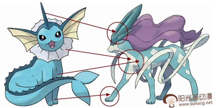 最新宠物小精灵进化过程全图,宠物小精灵中有普通动物吗