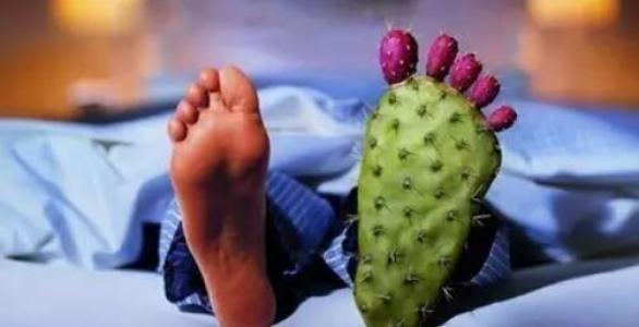 小暑里的黄鳝赛人参,小暑黄鳝赛人参下一句