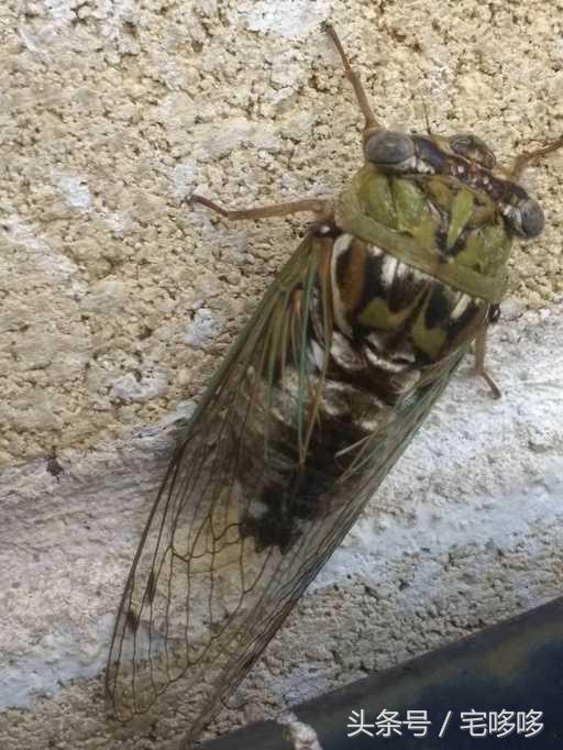 19张恐怖图片,19张不可思议的图片