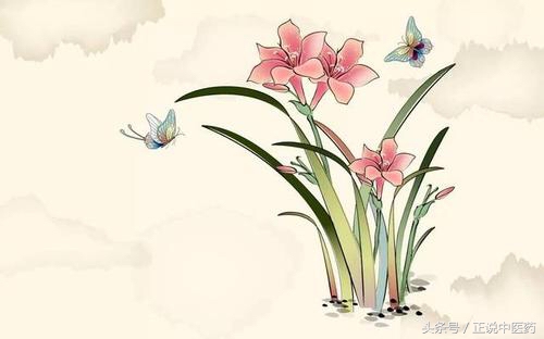 中医名言名句大全集,中医名言名句集锦释义