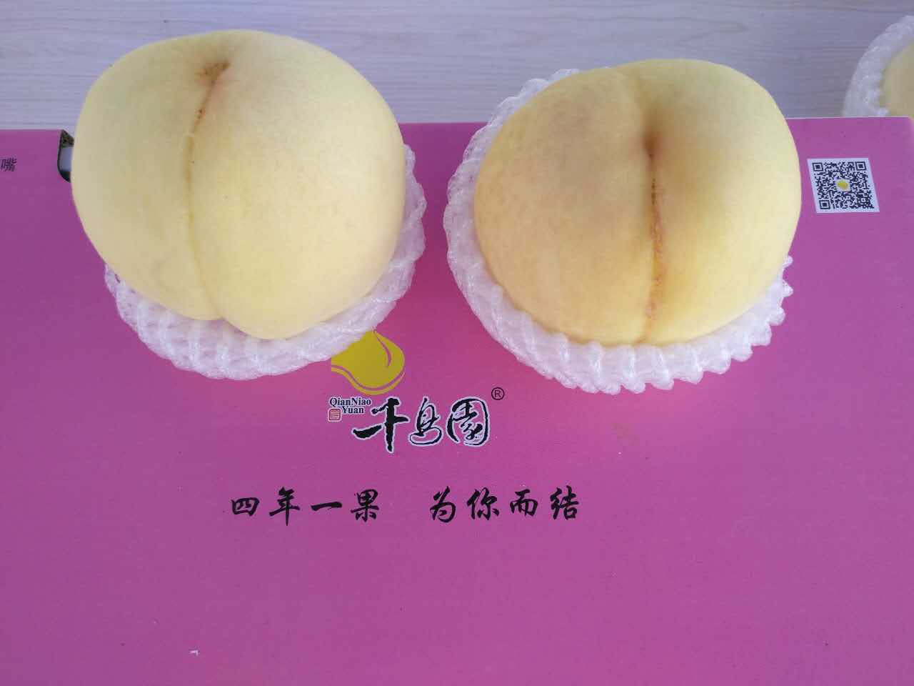 千鸟园宿迁美食,千鸟园桃缘