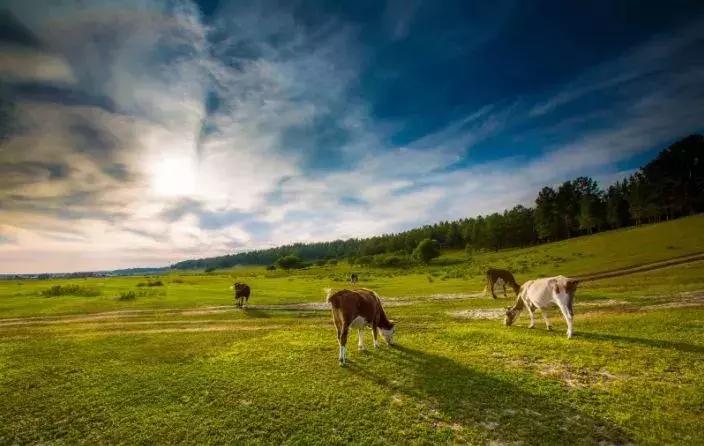 天津到长白山直达火车,天津出发4-5小时大巴旅游