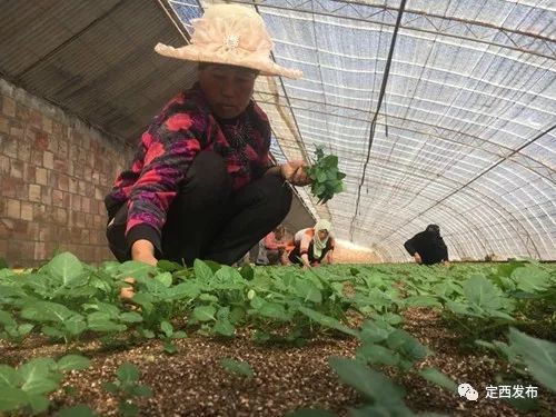 庆祝改革开放40周年全程播放,庆祝改革开放40周年