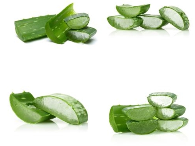 使用芦荟竟然还有这种操作？网友：好处真多！