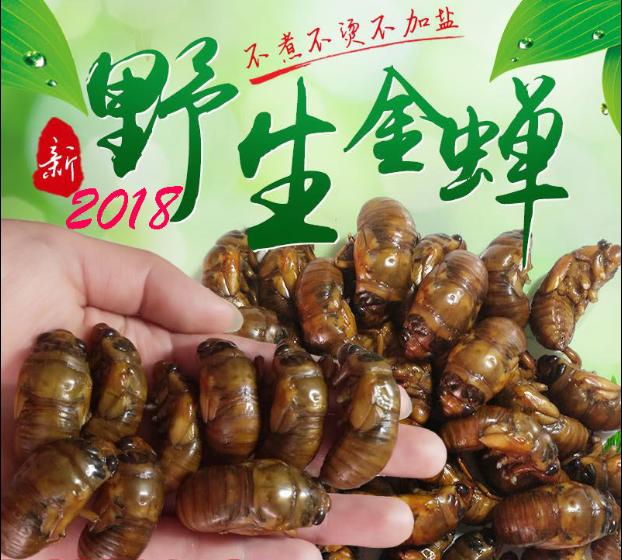 土特产电商平台运营方案,一份跨境电商的运营方案