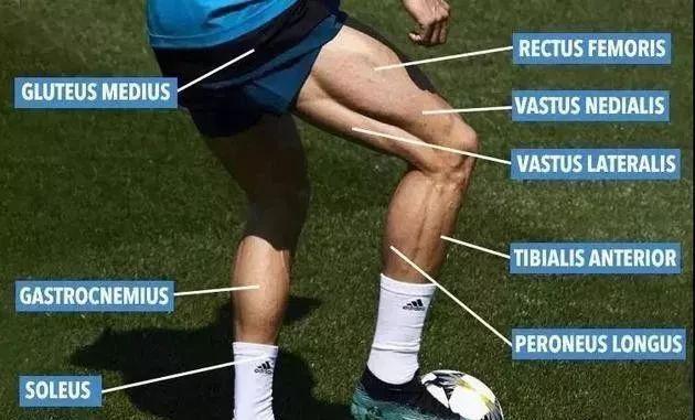 克里斯蒂亚诺罗纳尔多世界第一,克里斯蒂罗纳尔多多斯桑托斯