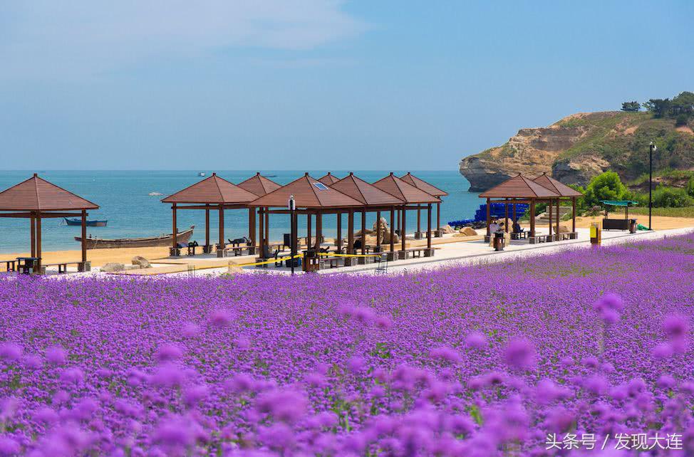 大连周边哪个海岛适合孩子玩,大连海岛旅游哪个岛最好