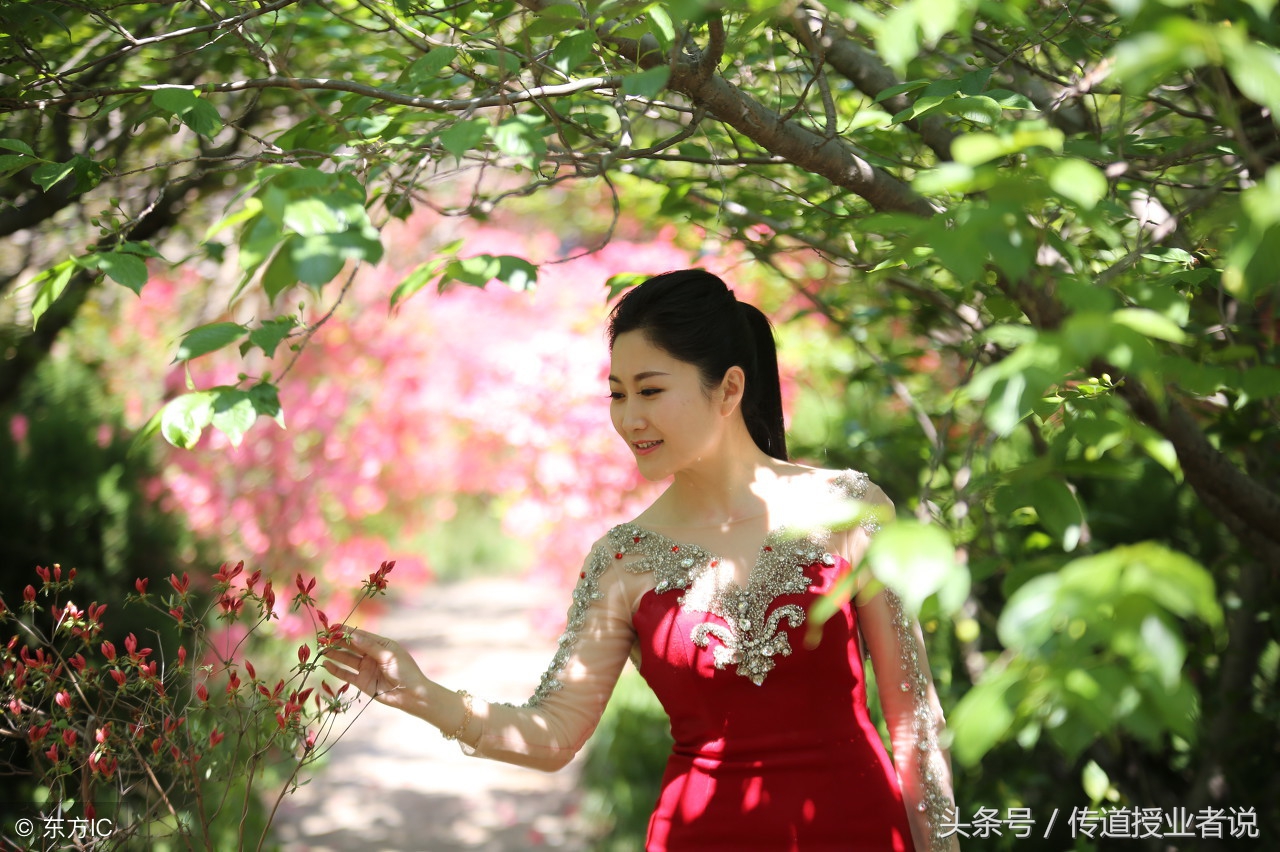 宋词一生必背50首古诗,一生必背100首经典唐诗宋词朗诵版