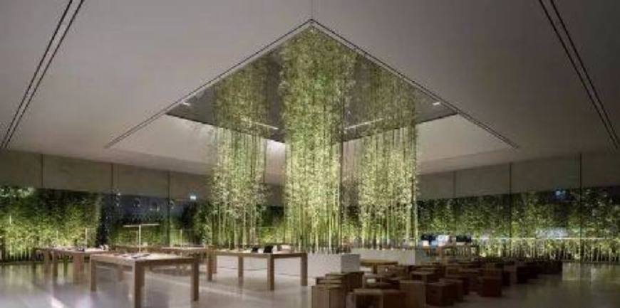 苹果精品店装修,苹果旗舰店店面装修