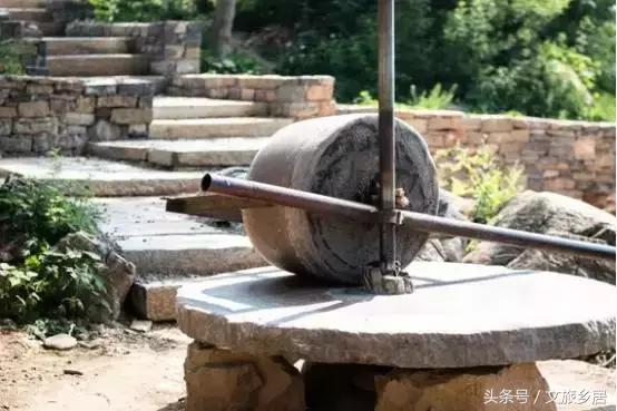 一个80后女大学生拿到！成功打造了山东省唯一国家级田园综合体