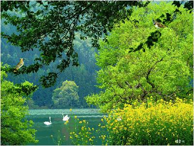 格律最工整的七律,如何写好七绝的方法和技巧