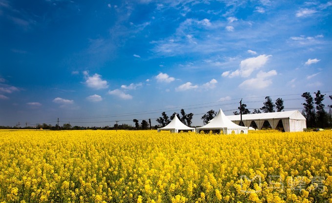 成都真是人杰地灵的好地方,成都必去的神仙地方