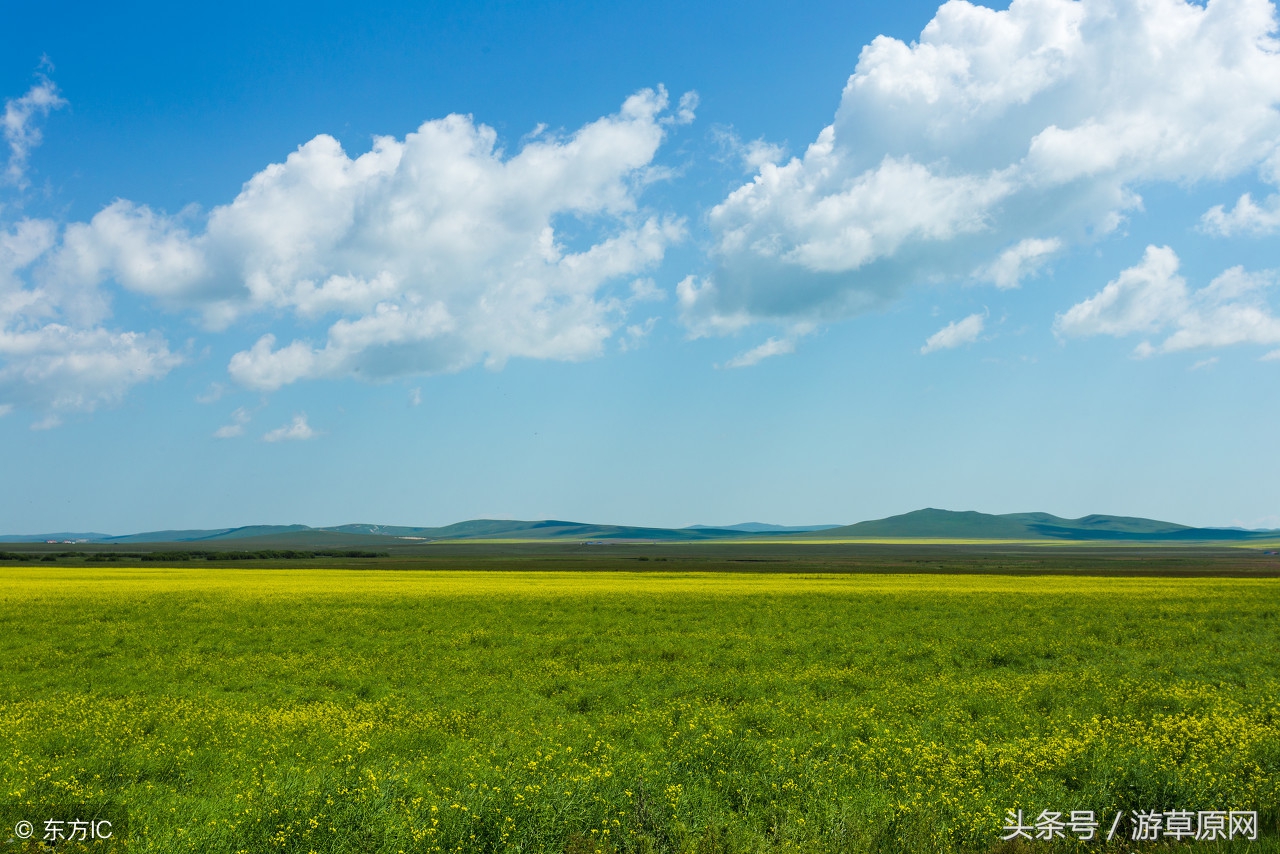 若尔盖草原旅游攻略 (呼伦贝尔大草原旅游攻略自驾)
