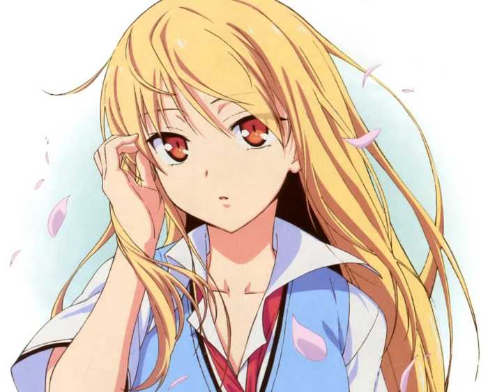 樱花庄的宠物女孩周边,樱花庄的宠物女孩里的猫