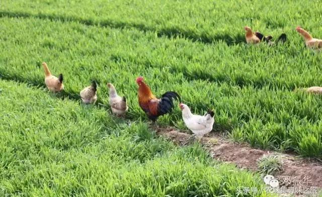 襄阳农特微商：他好友不足1000，月入过万，半个月销售近80000元