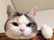 每日一案民事案件,每日一案件