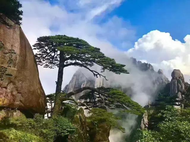 目前黄山旅游攻略最新,全网最详细的黄山旅游攻略