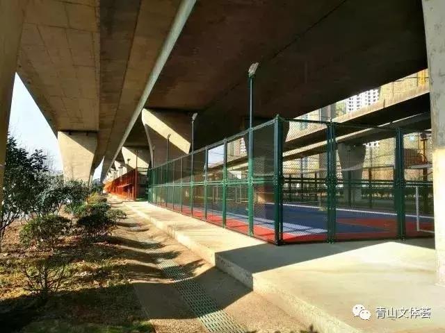 戴家湖附近足球场,戴家湖公园足球场免费吗