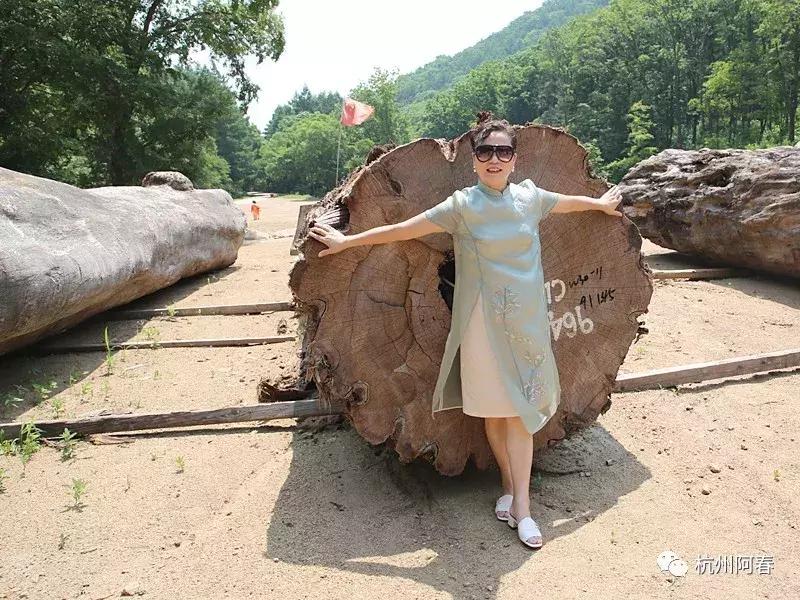 神游生态馆,抚顺新宾猴石森林公园天气预报