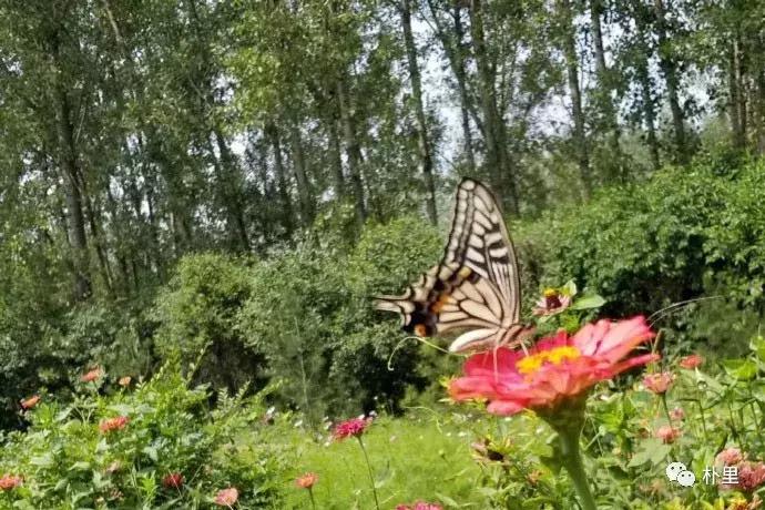 这个韩国欧巴11年前来西安，盖农场当农夫，还娶主播做媳妇儿