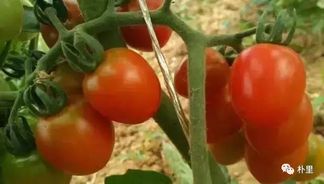 这个韩国欧巴11年前来西安，盖农场当农夫，还娶主播做媳妇儿