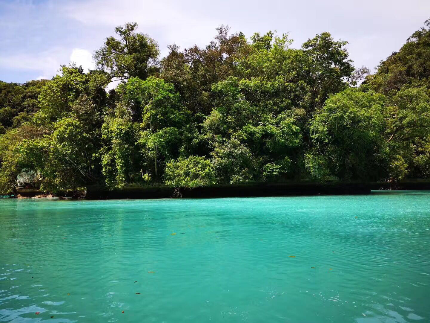 帕劳出游攻略第二天,帕劳最全攻略详细