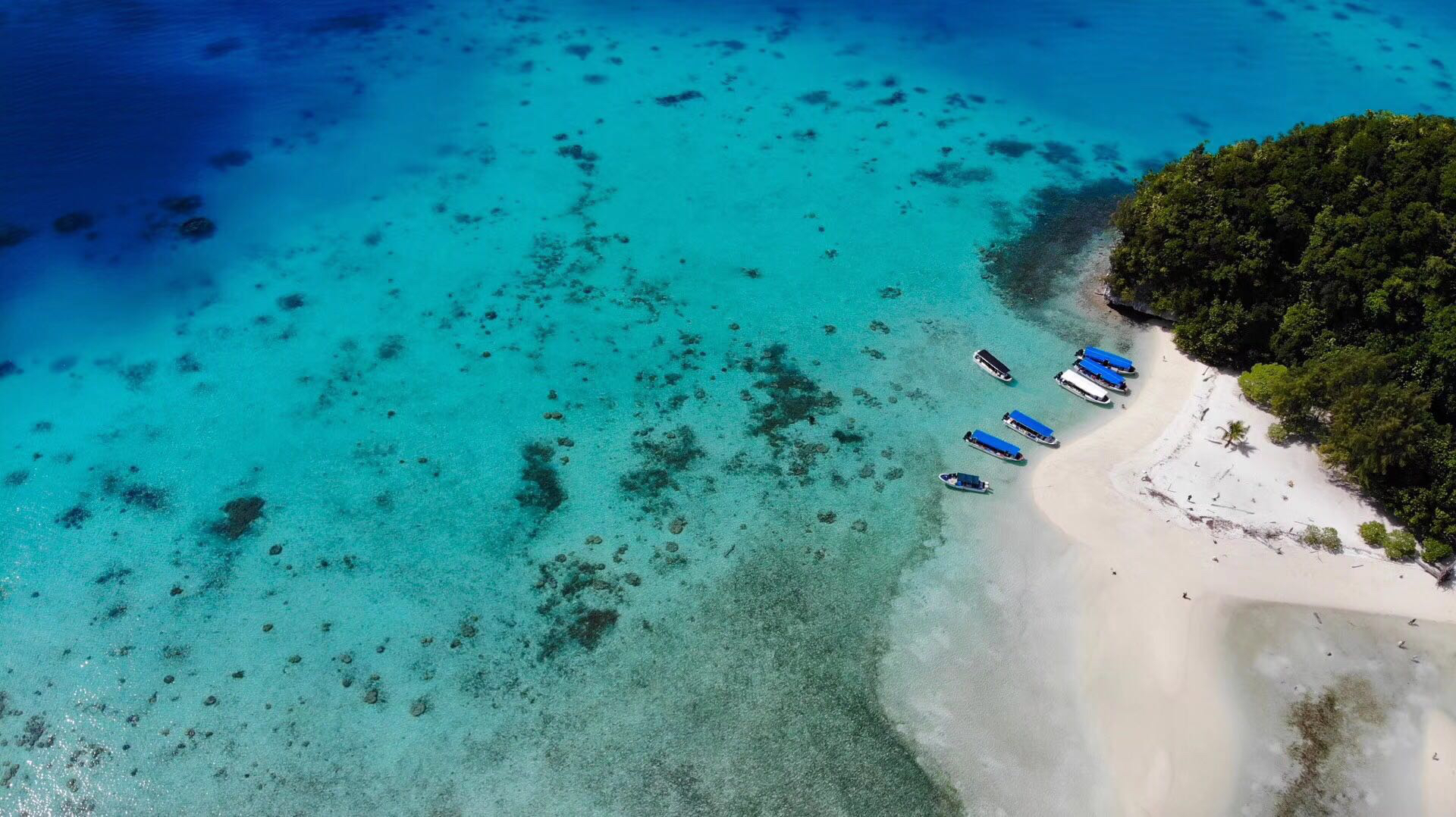 帕劳出游攻略第二天,帕劳最全攻略详细