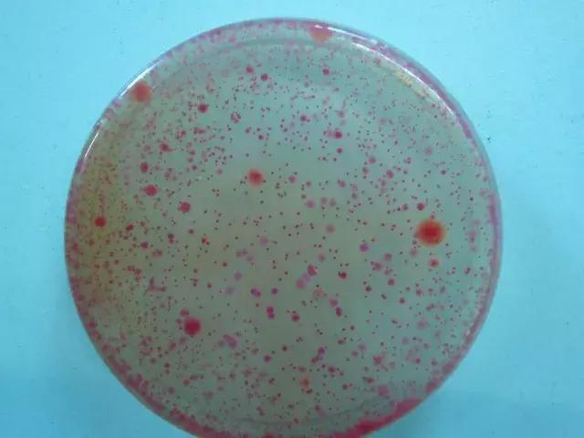 森田药妆面膜查出什么问题,森田面膜加入黑名单的是哪一款