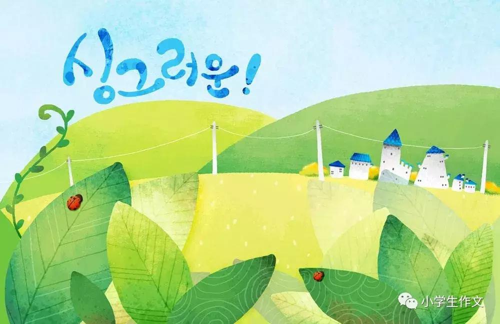 稻草人读后感500字左右范文5篇,摘抄稻草人好词好句好段