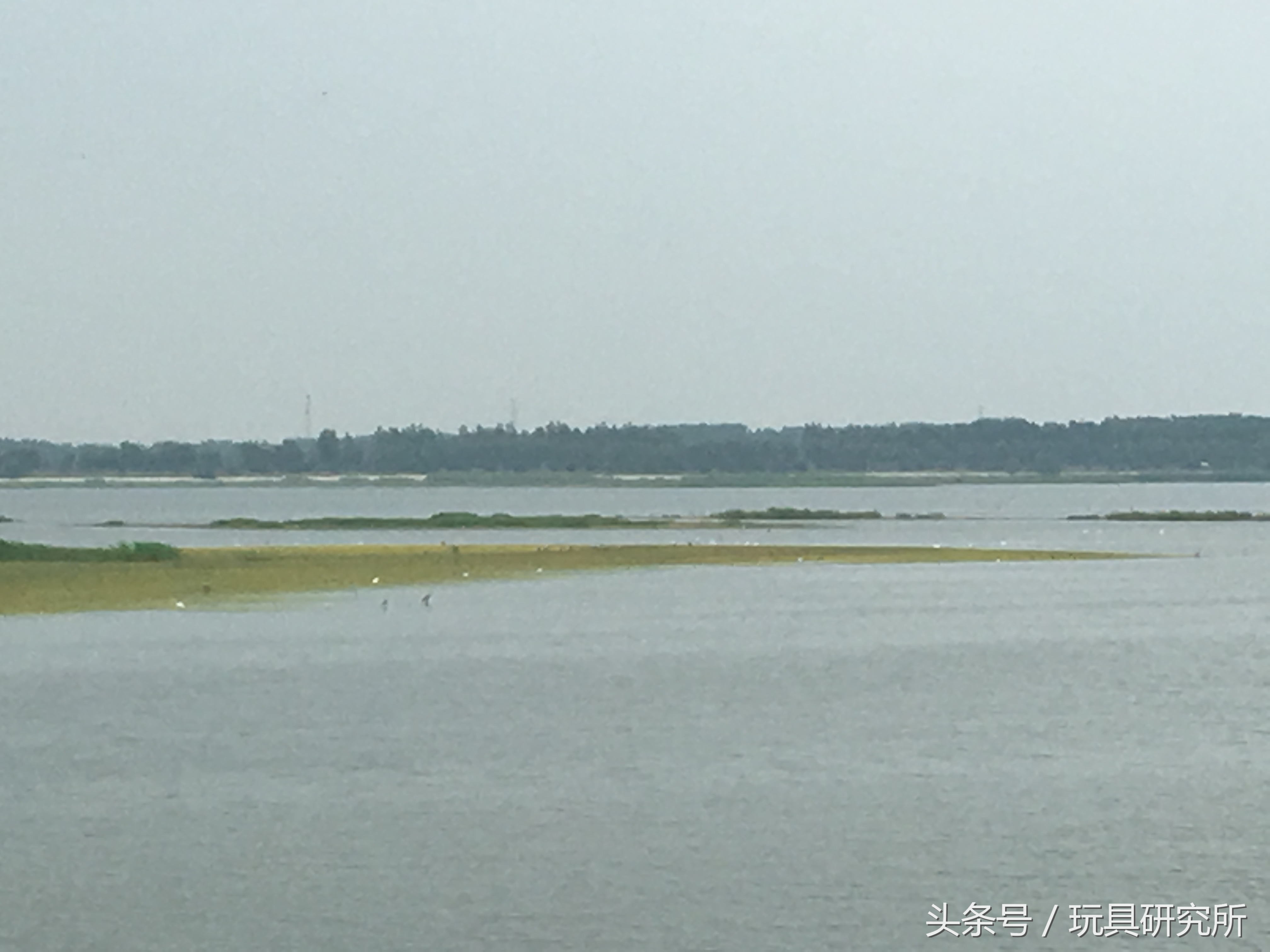 辽中珍珠湖看荷花带着孩子去哪儿玩珍珠湖环湖游沈阳周边游