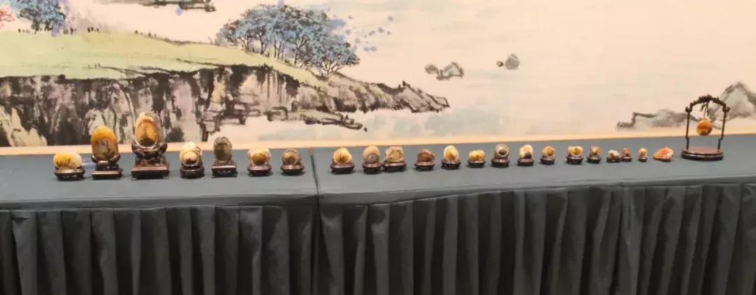 黄龙玉水草花亮点,顶级黄龙玉水草花