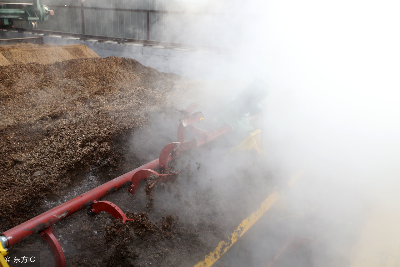 生态环保养猪未来发展趋势,生物发酵饲料可行性