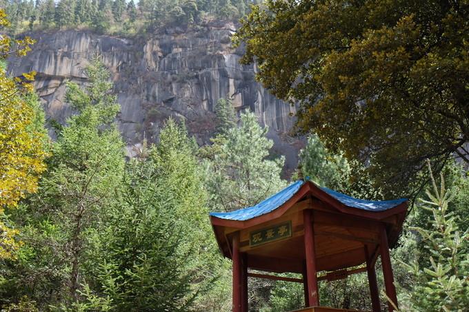 *藏西**，我历经十里桃花劫，只为寻心之所往