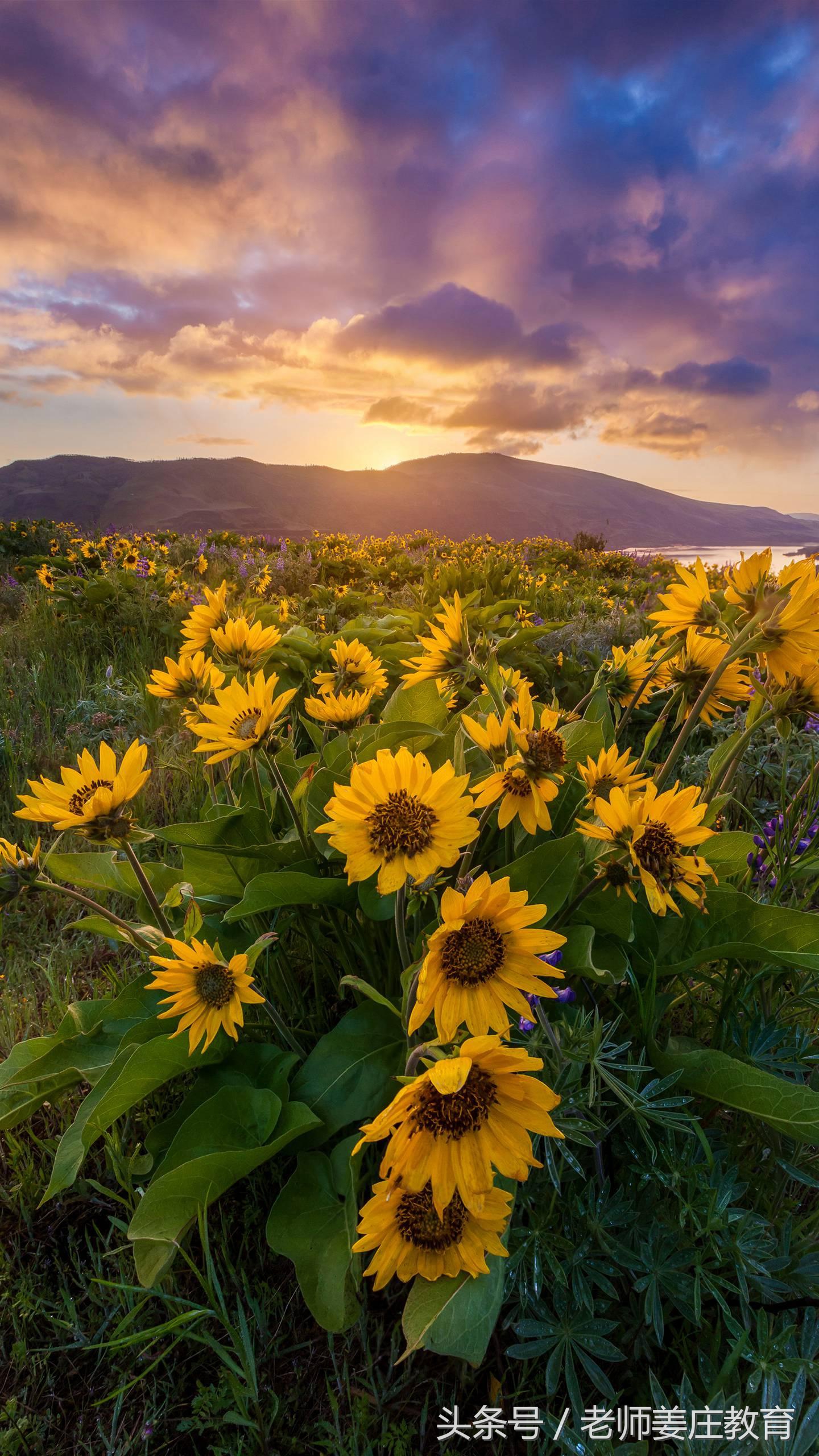 英语脑筋急转弯大全及答案,关于26个英文字母的脑筋急转弯